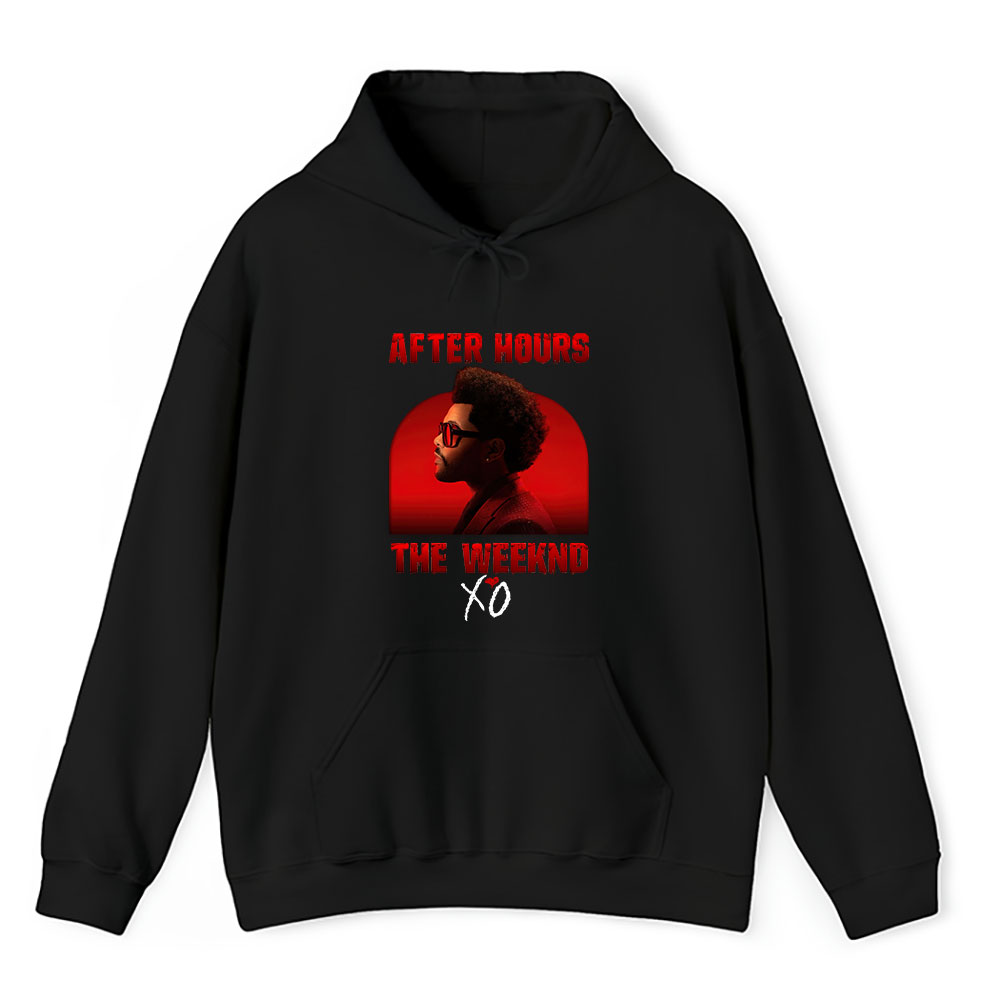 Vintage The Weeknd Fan Hoodie, The Weeknd After Hours Album Unisex Hoodie