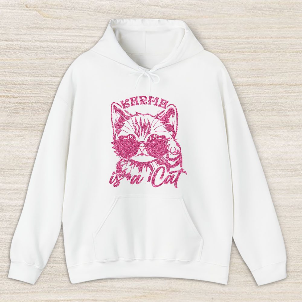 Vintage Taylor Swift Fan Hoodie, Taylor Swift Karma Is A Cat Unisex Hoodie For Fans