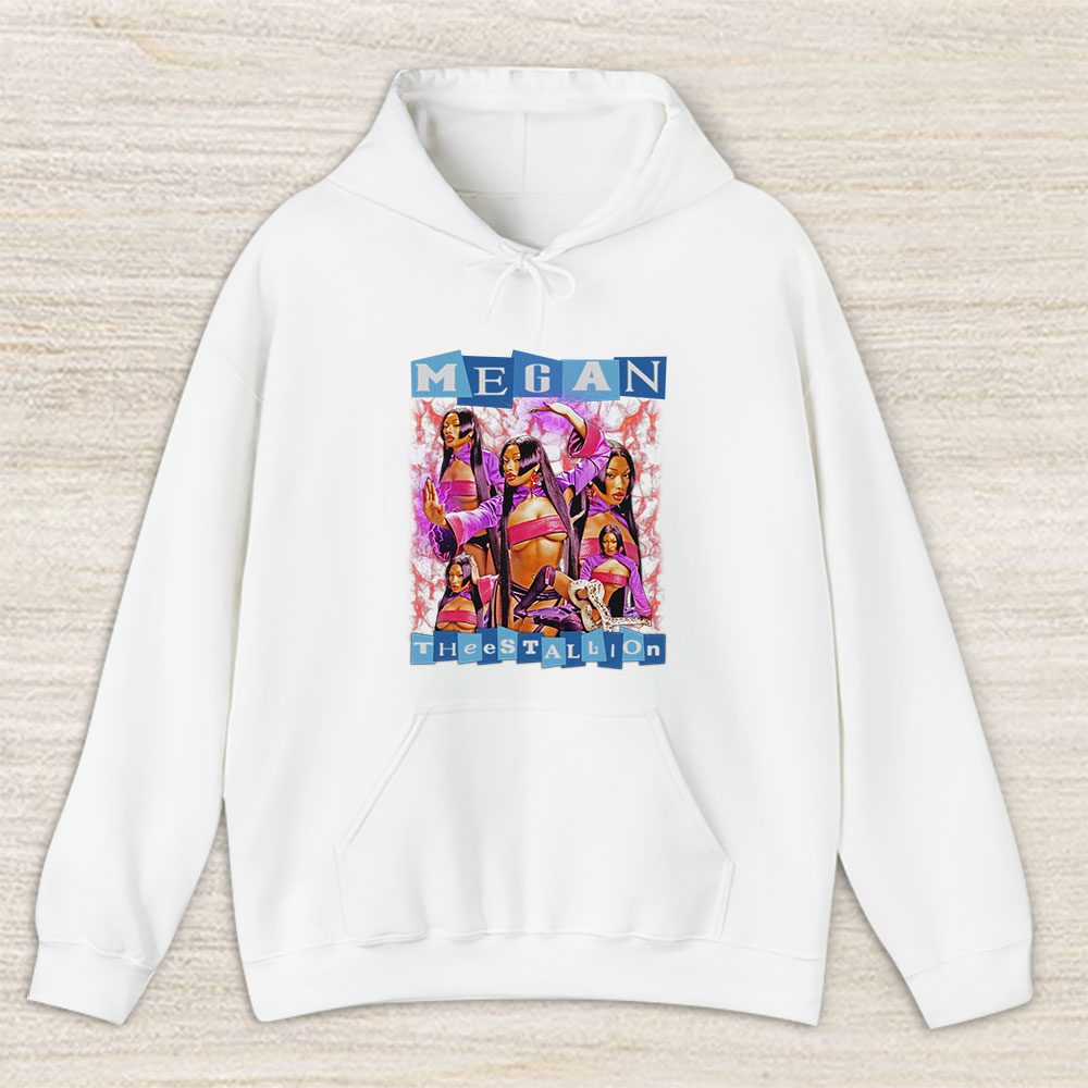 Vintage Megan Thee Fan Hoodie, Megan Thee Stallion Hot Girl Meg Trap Queen Unisex Hoodie For Fans