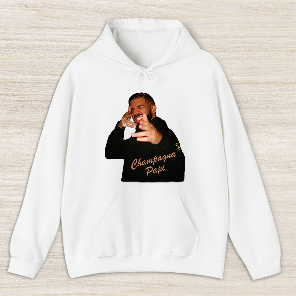 Vintage Drake Drizzy Fan Hoodie, Drake Drizzy The 6 God Aubrey Ovo King Champagne Papi Unisex Hoodie