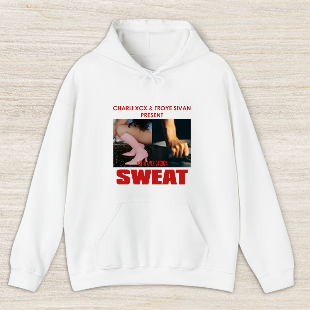 Vintage Charli Xcx Fan Hoodie, Charli Xcx Sweat Concert North America 2024 Troye Sivan Unisex Hoodie