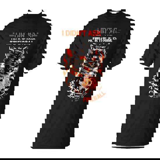 I Didn't Ask How Big The Room Is Said I Cast Fireball Cats T-Shirt