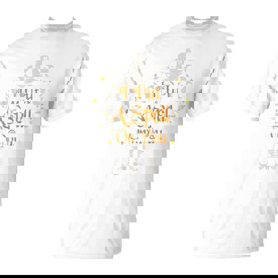 I Put A Spell On You Halloween Costume T-Shirt