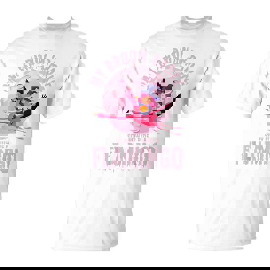 My Broom Broke So Now I Ride A Flamingo Halloween T-Shirt