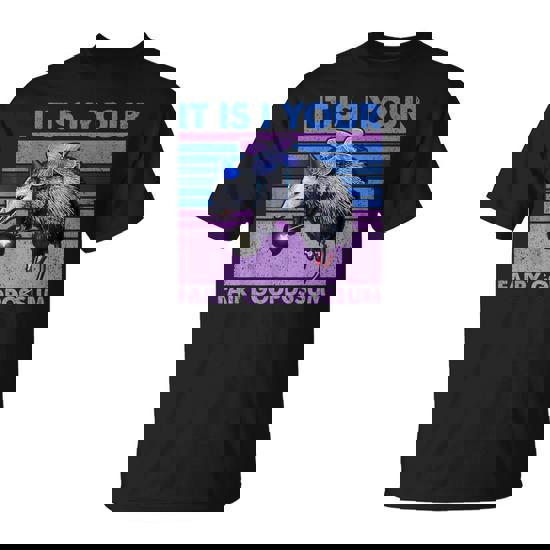 It Is I Your Fairy Godpossum Retro Opossum Lover Women T-Shirt