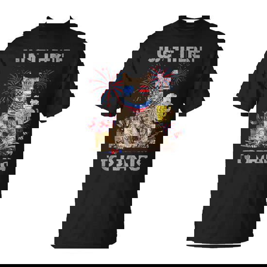 Just Here To Bang Cat 4Th Of July Merica Meowica T-Shirt