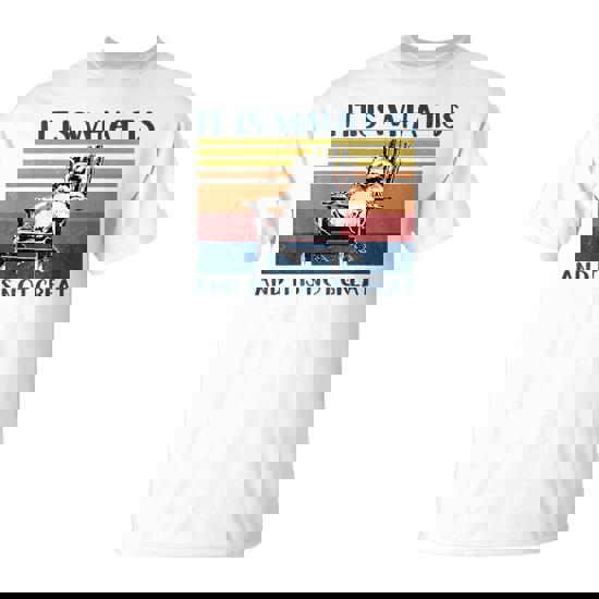 It Is What It Is And It Is Not Great Raccoon T-Shirt