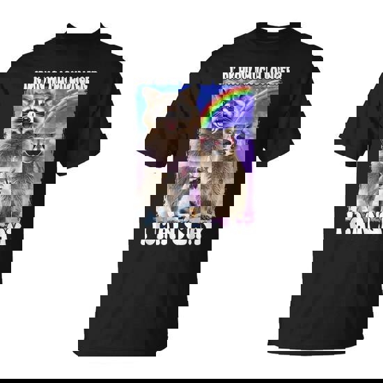 Idk How Much Longer I Can Slay Raccoon T-Shirt