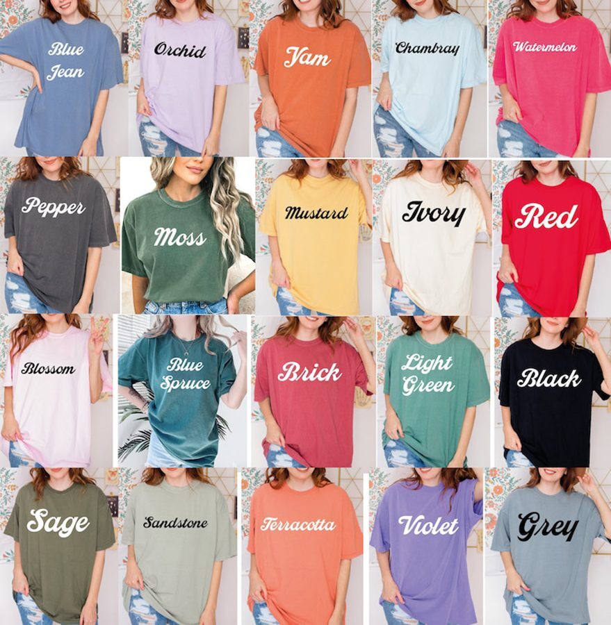 While She Shirt, While She Sleeps North America 2025 T-Shirt