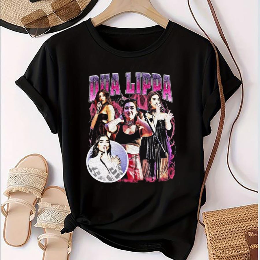 New In Flames Shirt, In Flames 2025 North America Tour T-Shirt