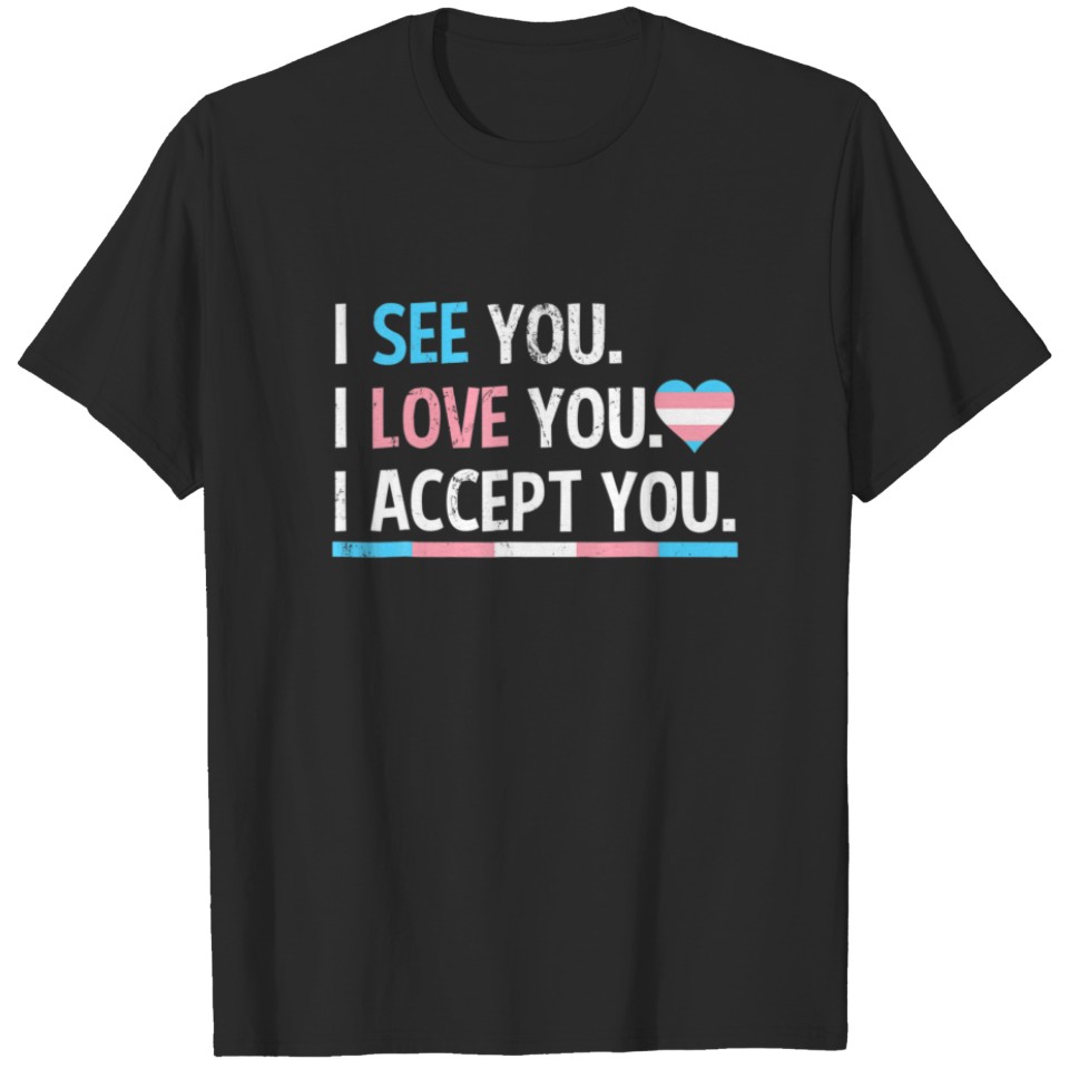 I See I Love You I Accept You Gay Pride Lgbt Trans T-Shirt