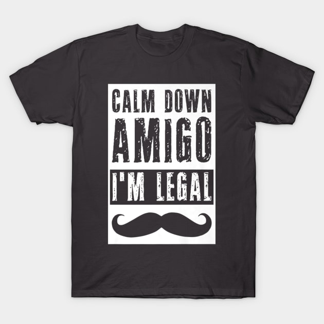 Im Legal Immigrant Funny Patriot Calm Down Us Pride T-Shirt July 4Th Tshirt, July 4Th Tee, Independence Premium Shirt