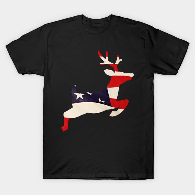Independence Day Funny T-Shirt July 4Th Tshirt, July 4Th Tee, Independence Premium Shirt