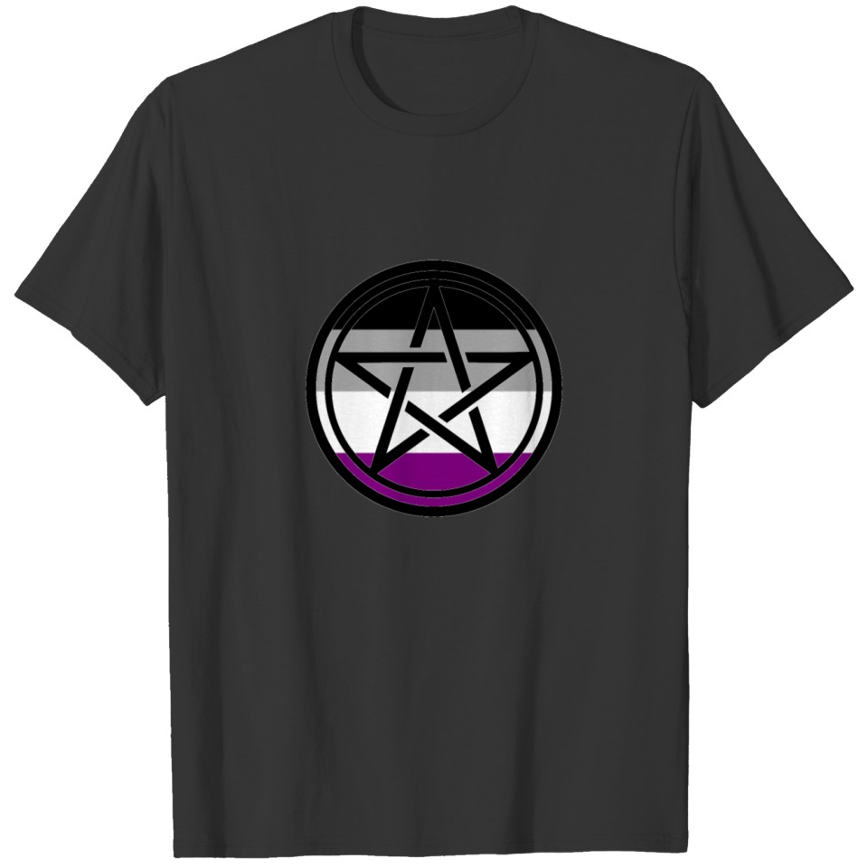 Large Print Pentacle Lgbt Flag Asexual T Shirts