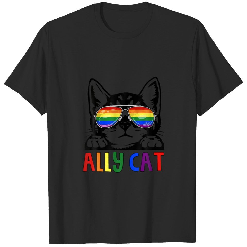 Lgbt Ally Cat Be Kind Gay Rainbow Funny Lgbtq Gift T-Shirt