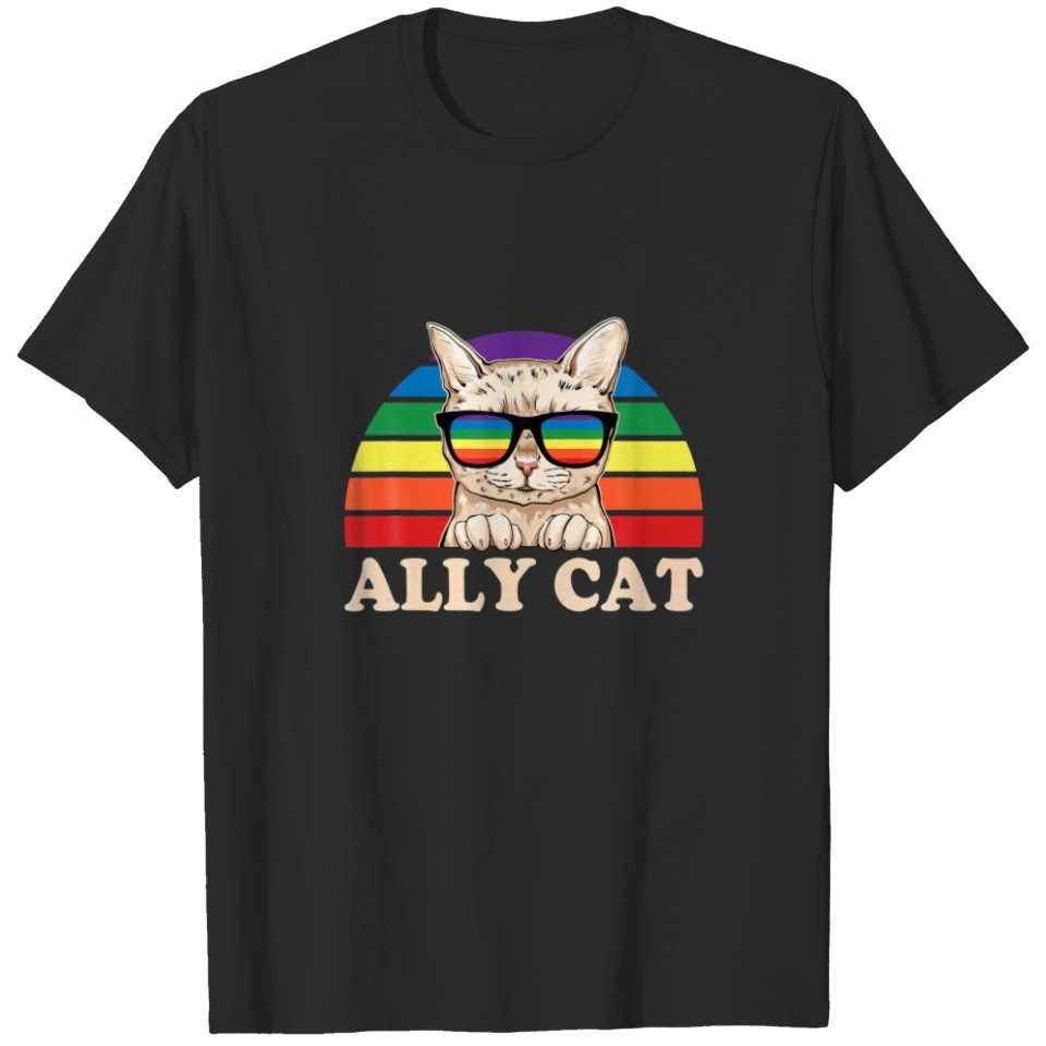 Lgbt Ally Cat Be Kind Rainbow Funny Lgbtq Gift Ide T-Shirt