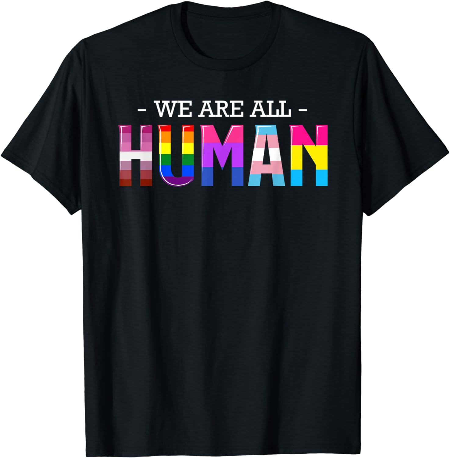 Lgbtq Ally Flag T-Shirt We Are All Human Lgbt Gay Rights Pride Parade Ally Gift