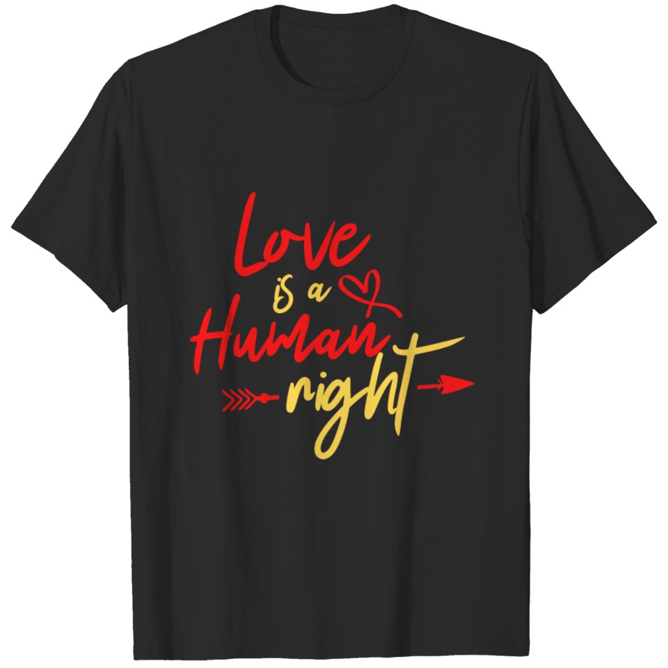 Love Is A Human Right Lgbt Valentines Day Gift T-Shirt