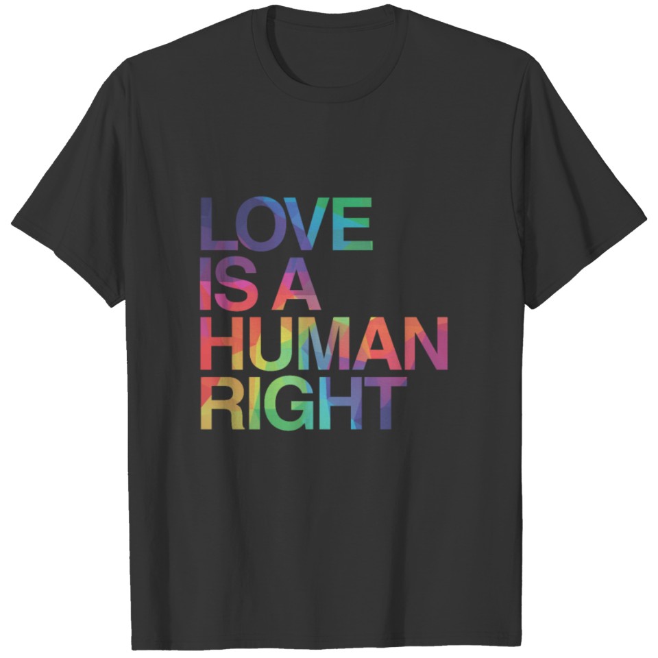Love Is Human Right Lgbt Gay Pride T Shirts