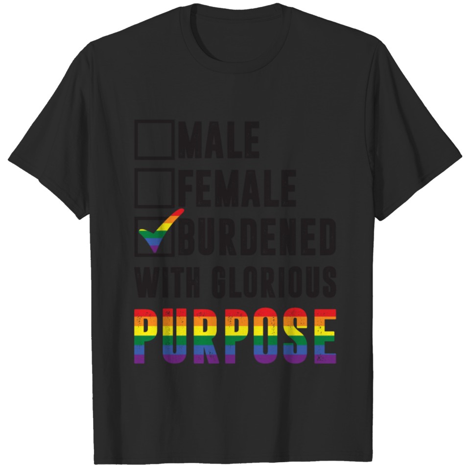 Male Female Lgbt Purpose Check Box Rainbow T-Shirt