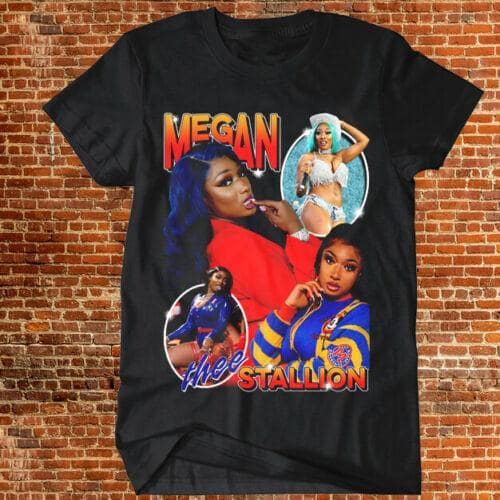 Megan Thee Stallion Rap Hip Hop Rnb Shirt, Hip Hop Shirt, Classic Style T-Shirts